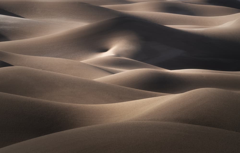 Golden Desert Curves by Ling Jiang — canvas wall art