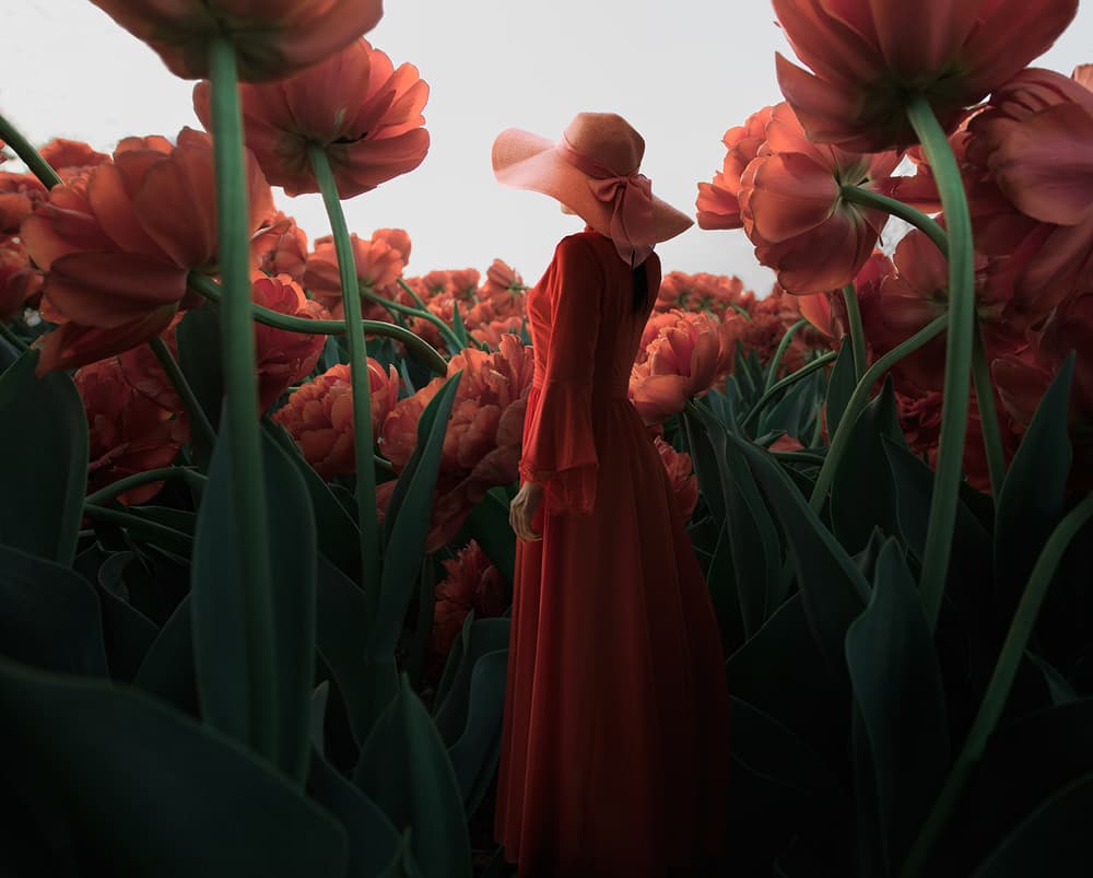 Red Dress Tulip Field by Shanyewuyu — canvas wall art
