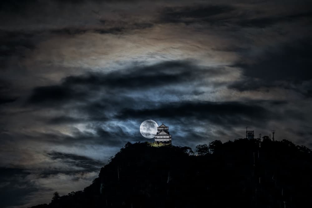 Moonlit Japanese Castle by まちゅばら/Hiroki Matsubara — canvas wall art