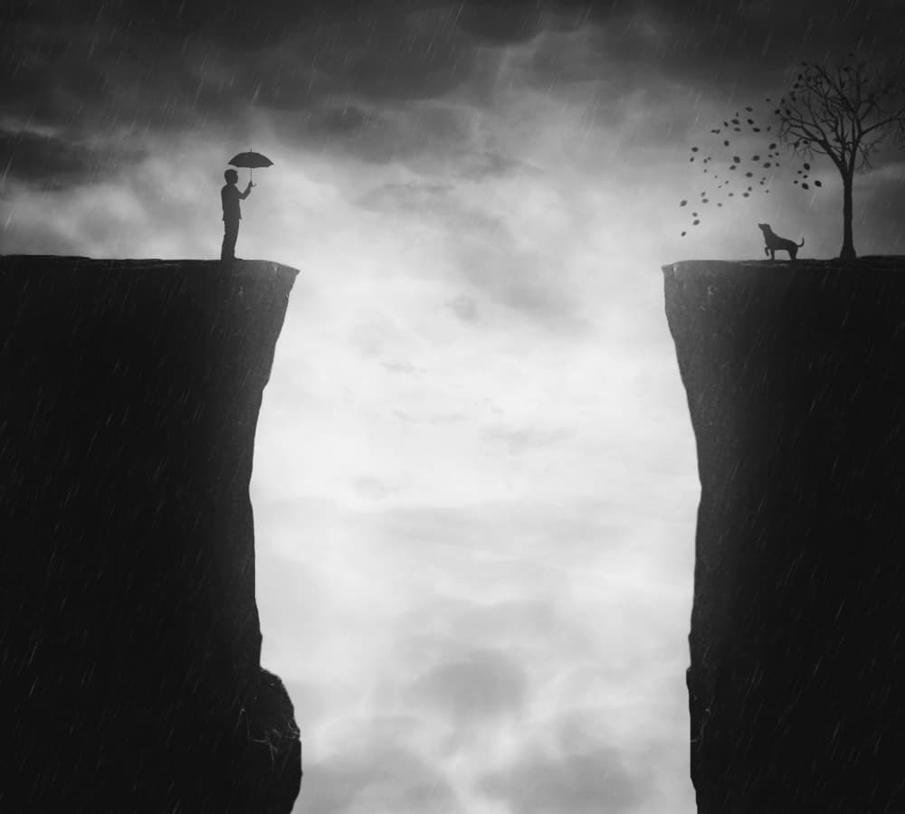 Man Dog Deep Chasm by Ivan Marlianto — canvas wall art