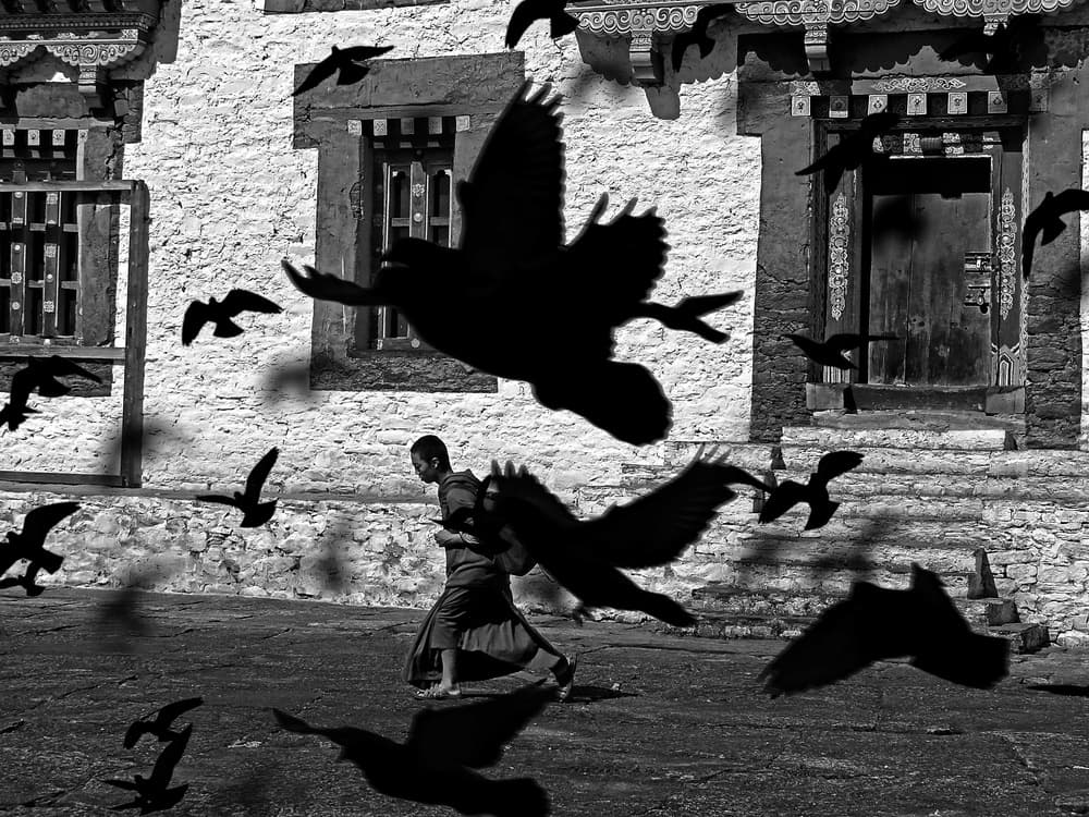 Monk and Bird Shadows by Giorgio Pizzocaro — canvas wall art