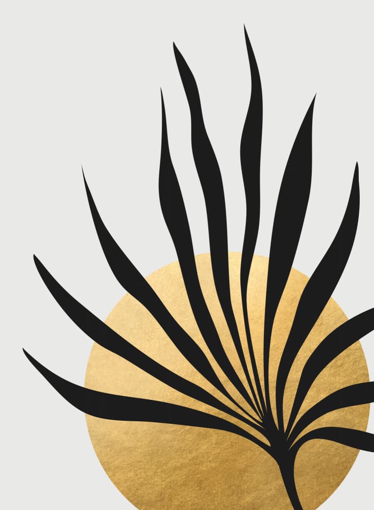 Black Botanicals Golden Sun by Rosana Laiz Blursbyai — canvas wall art