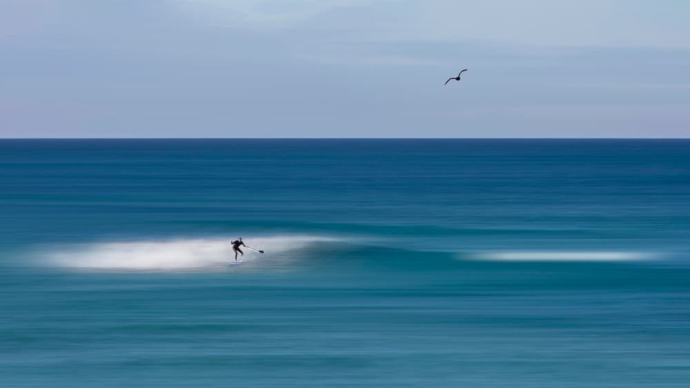 Ocean Paddle Surfer by Shin Woo Ryu — canvas wall art