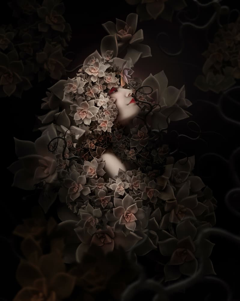 Ethereal Succulent Dream by kazutoshikawakami — canvas wall art