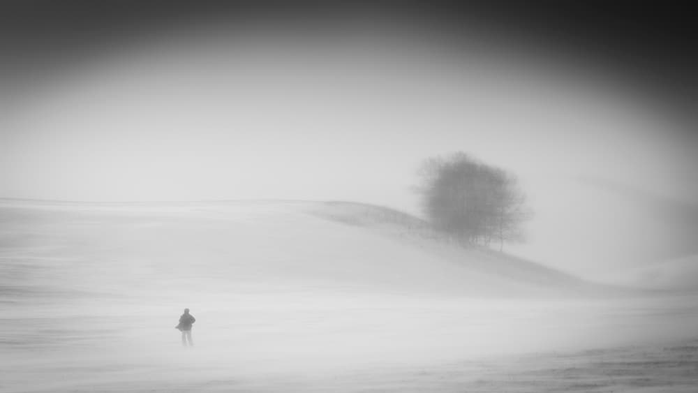 Lone Figure Misty Landscape by Bingo Z — canvas wall art