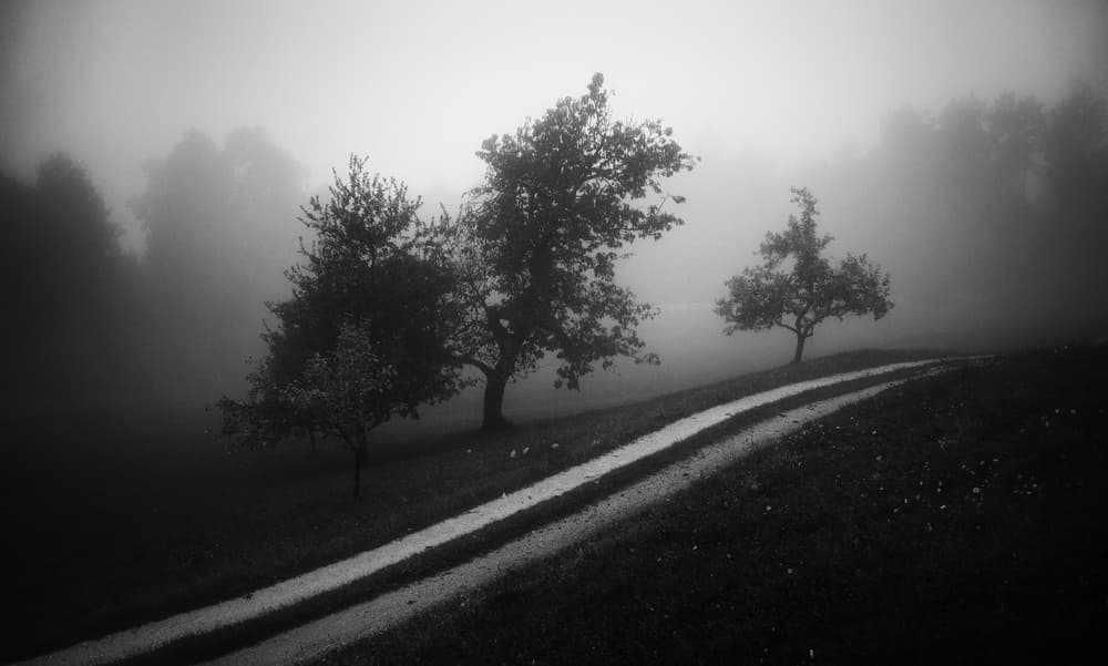 Misty Country Path by Ales Krivec — canvas wall art