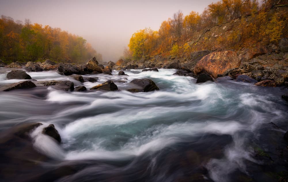 Misty Autumn River Flow by Sus Bogaerts — canvas wall art