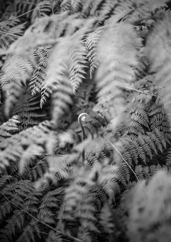 Black And White Photograph by Shot by Clint — canvas wall art