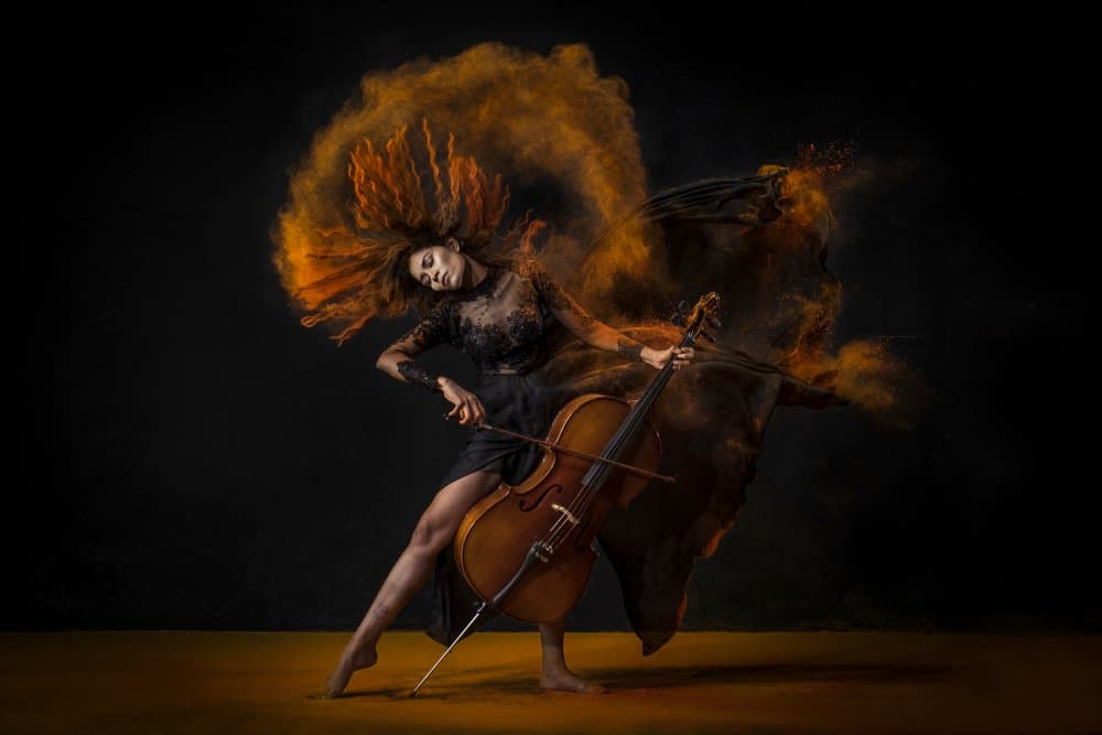 Dynamic Cello Performance by Sita Gramich — canvas wall art