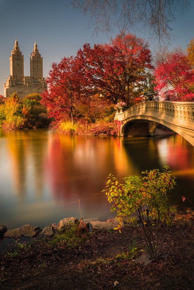 Autumn in Central Park by Christopher R. Veizaga — canvas wall art