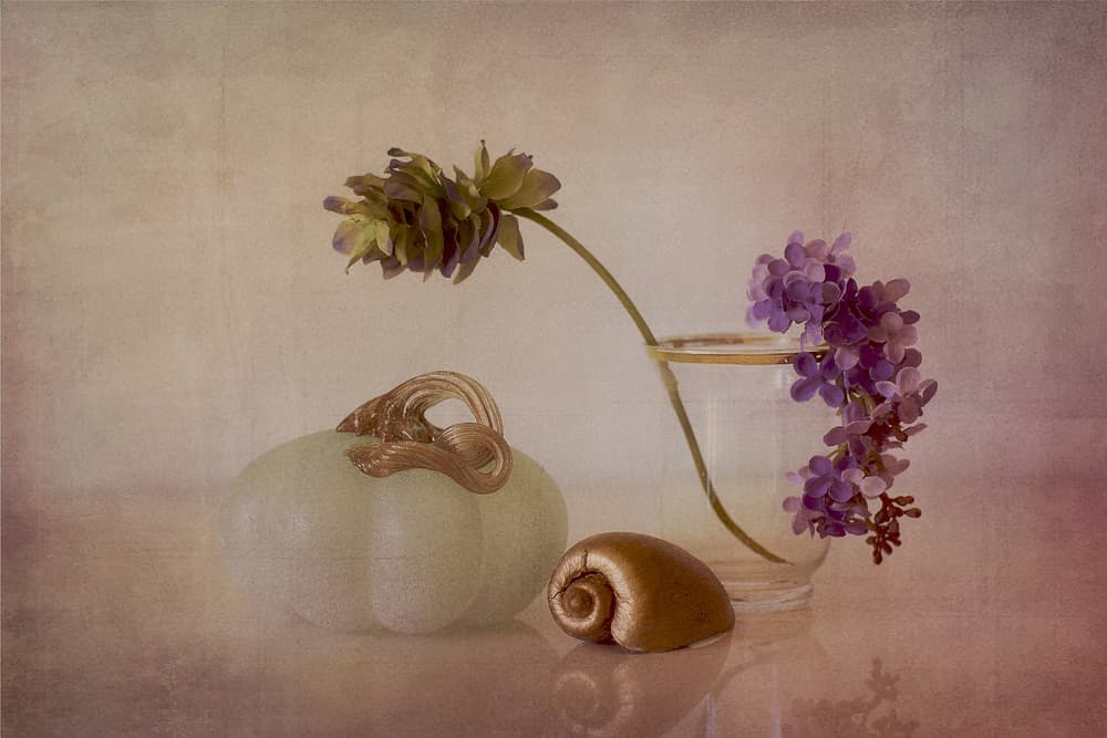 Gentle Pumpkin Still Life by Elena Arjona — canvas wall art