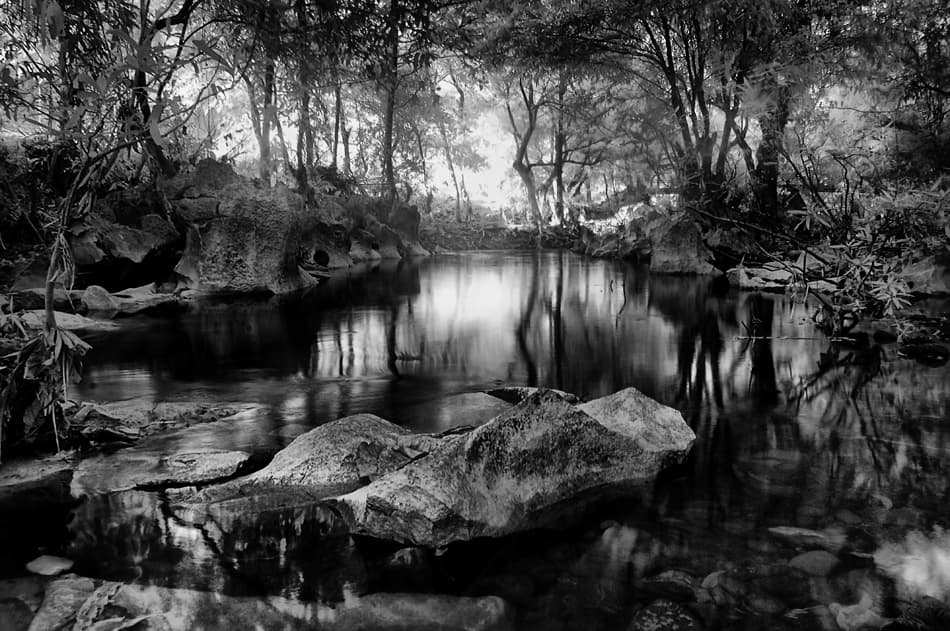 Serene Woodland Waters by Ismail raja sulbar — canvas wall art