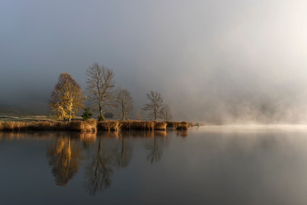Misty Autumn Lake Reflection by Tom Meier — canvas wall art