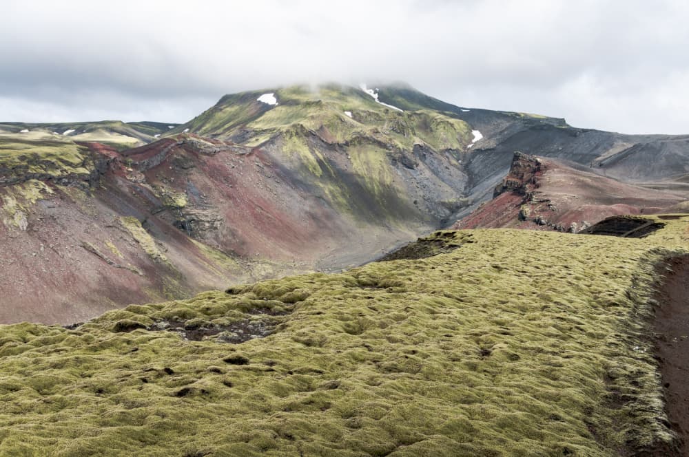 Icelandic Mossy Landscape by Photolovers — canvas wall art
