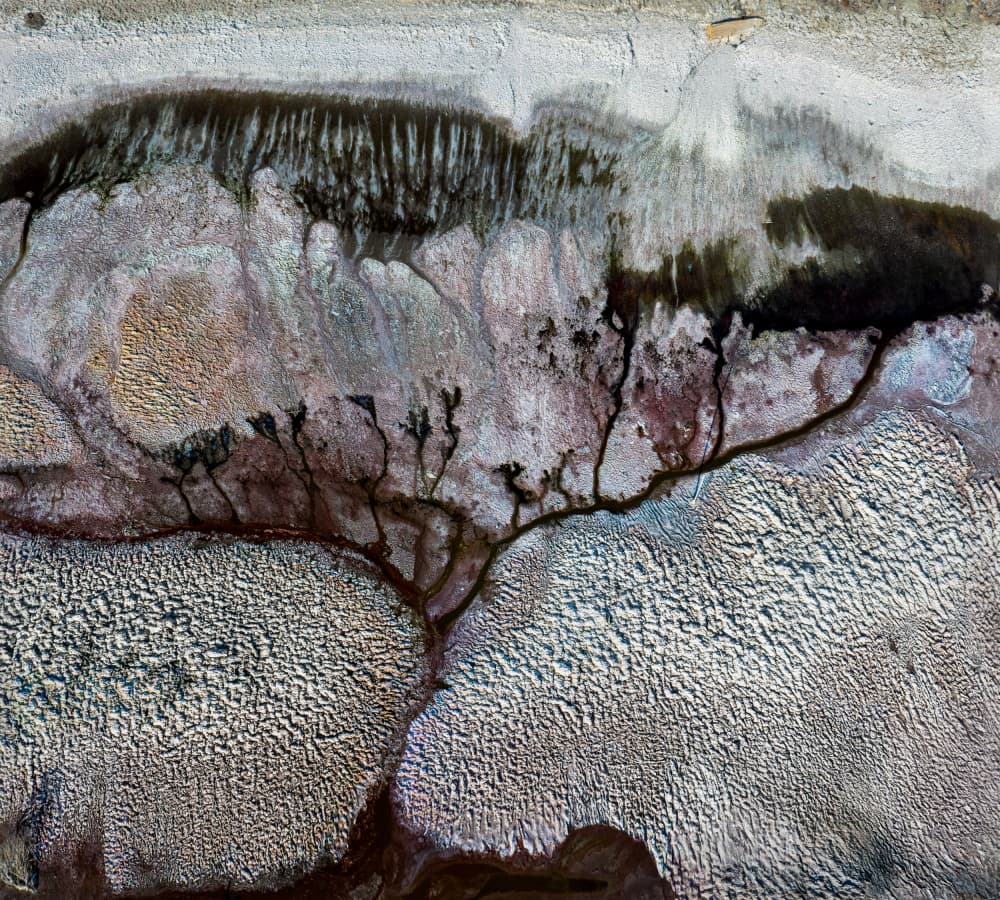 Organic Earth Patterns by Shenshen Dou — canvas wall art