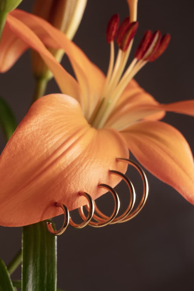 Golden Lily Hoops by Julia Ramiro — canvas wall art