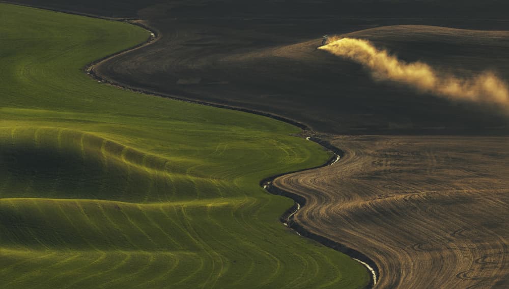 Green Hills Golden Dust by David Guo — canvas wall art