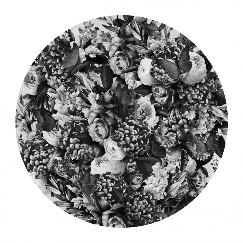 Monochrome Floral Butterflies by Sue Skellern — canvas wall art