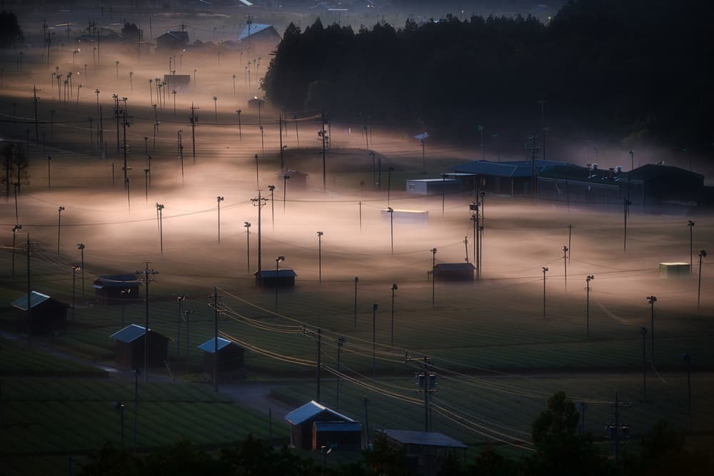 Misty Farm Fields by Tatsuki Ito — canvas wall art