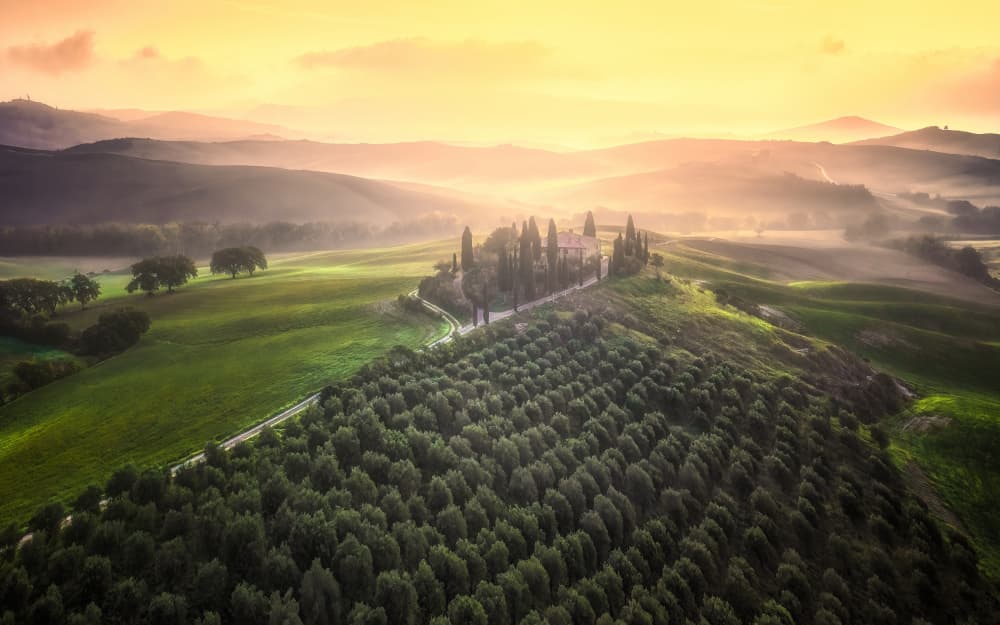 Golden Tuscan Hills by Jianping Yang — canvas wall art