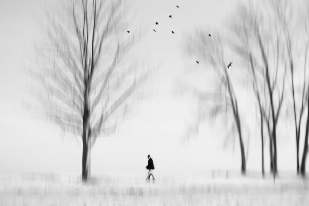 Solitary Winter Walk by Cindy Liu — canvas wall art