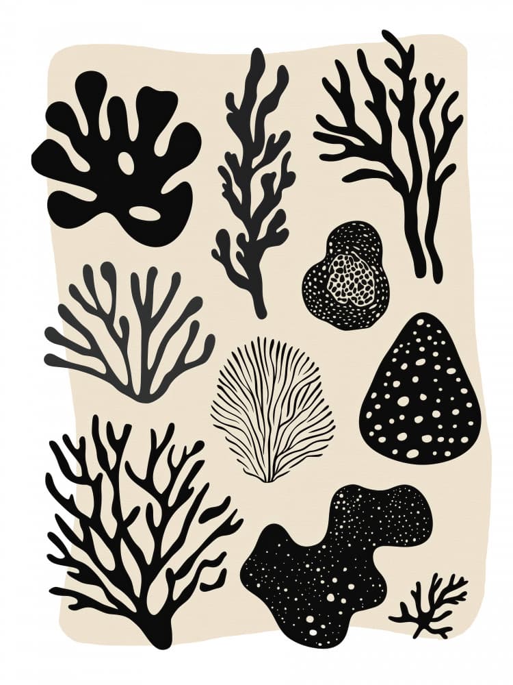 Ocean Shapes by Treechild — canvas wall art