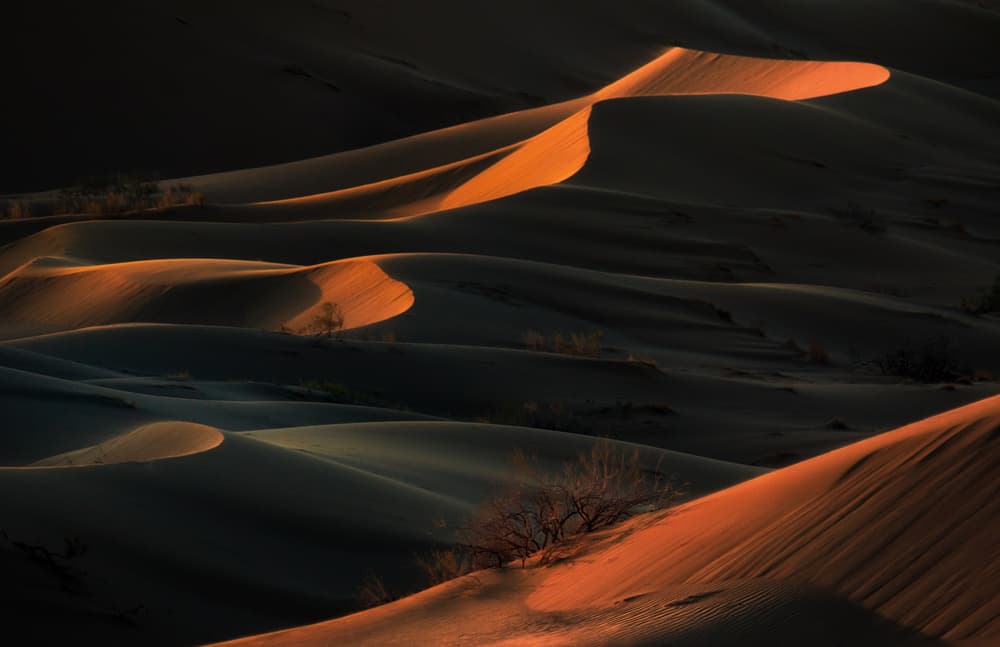 Golden Desert Dunes by Babak Mehrafshar — canvas wall art