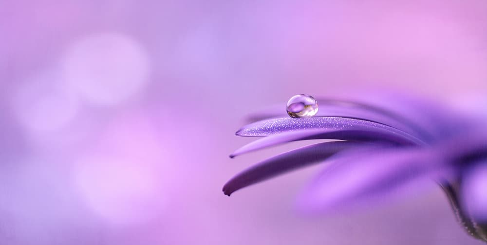 Delicate Water Droplet by Treechild — canvas wall art