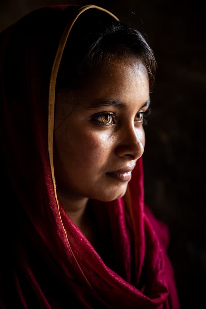 Pensive Golden Gaze by Richard Huang — canvas wall art
