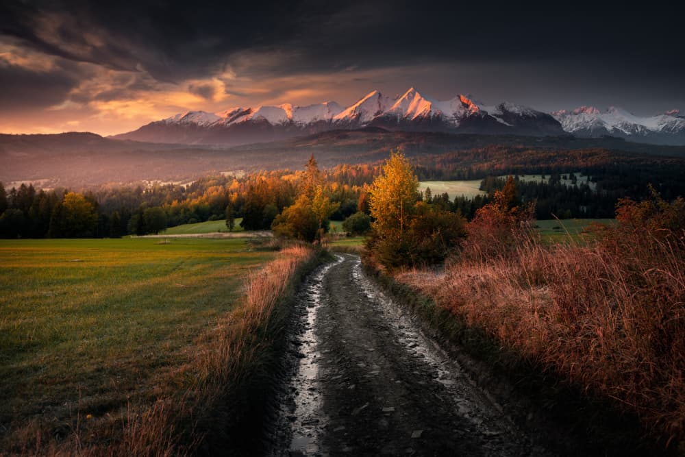 Golden Hour Mountain Road by Karol Nienartowicz — canvas wall art