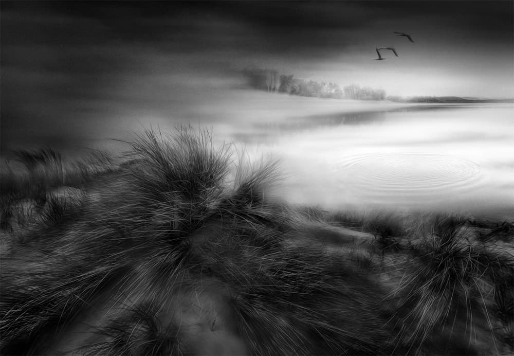 Ethereal Lake Grass Flight by Fran Osuna — canvas wall art