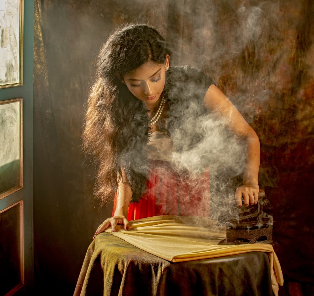 Woman Ironing Elegance by DEBASISH CHATTOPADHYAY — canvas wall art