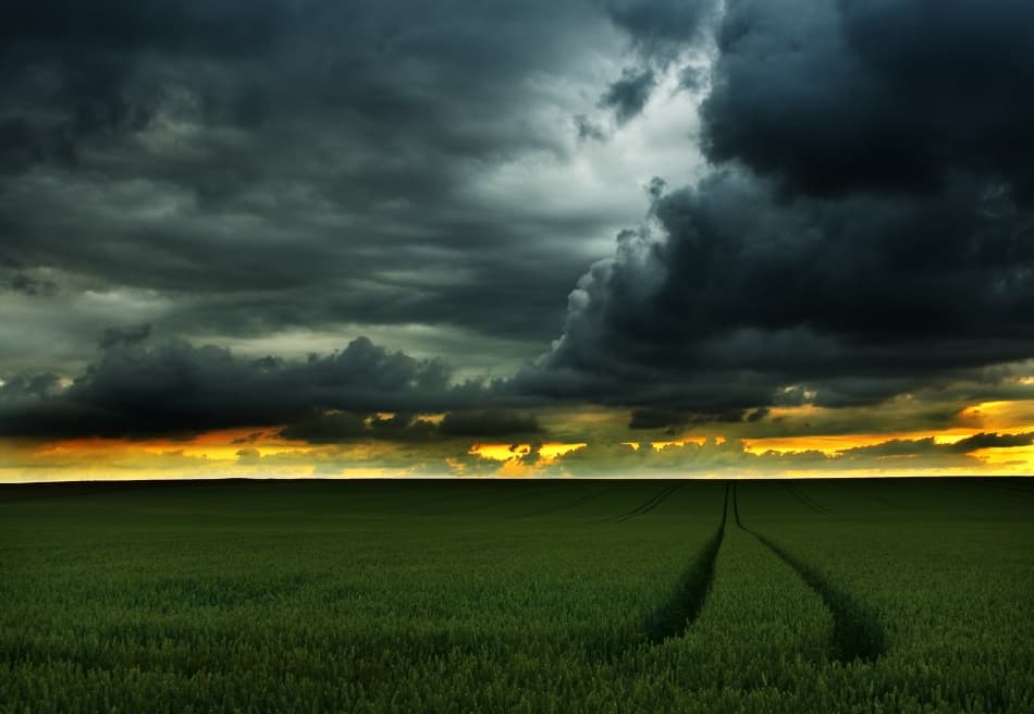Dramatic Field Sunset by Niels Christian Wulff — canvas wall art