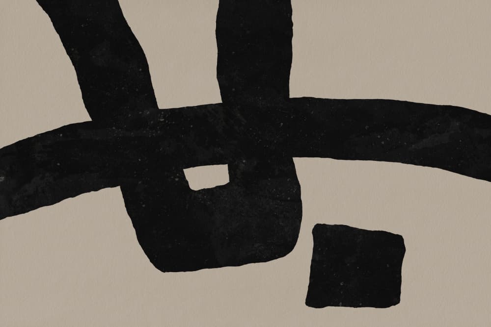 Intertwined Black Lines by amini54 — canvas wall art