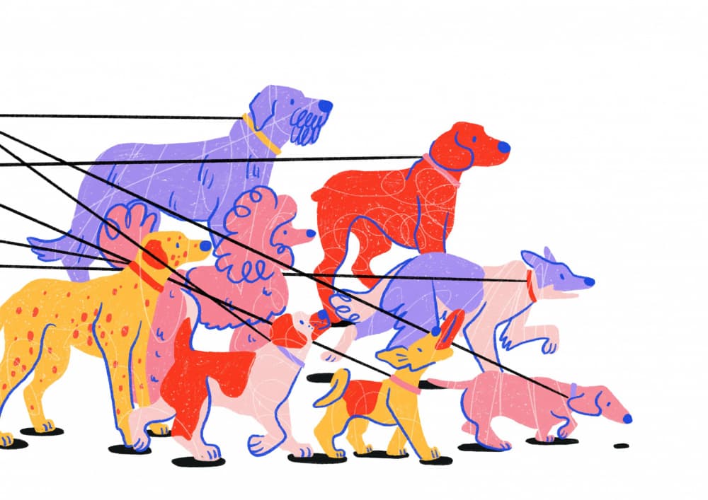 Colorful Dog Parade
