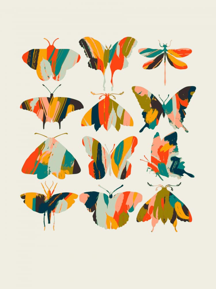 Colorful Insect Collection by Annick — canvas wall art
