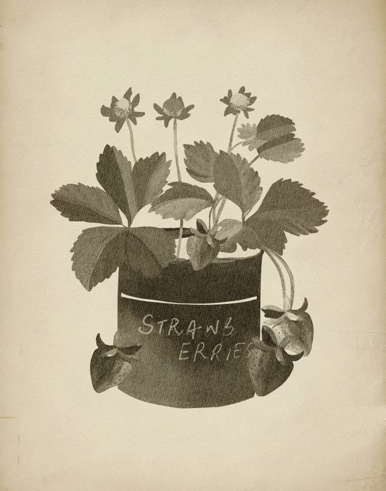 Vintage Strawberry Illustration by Josie George — canvas wall art