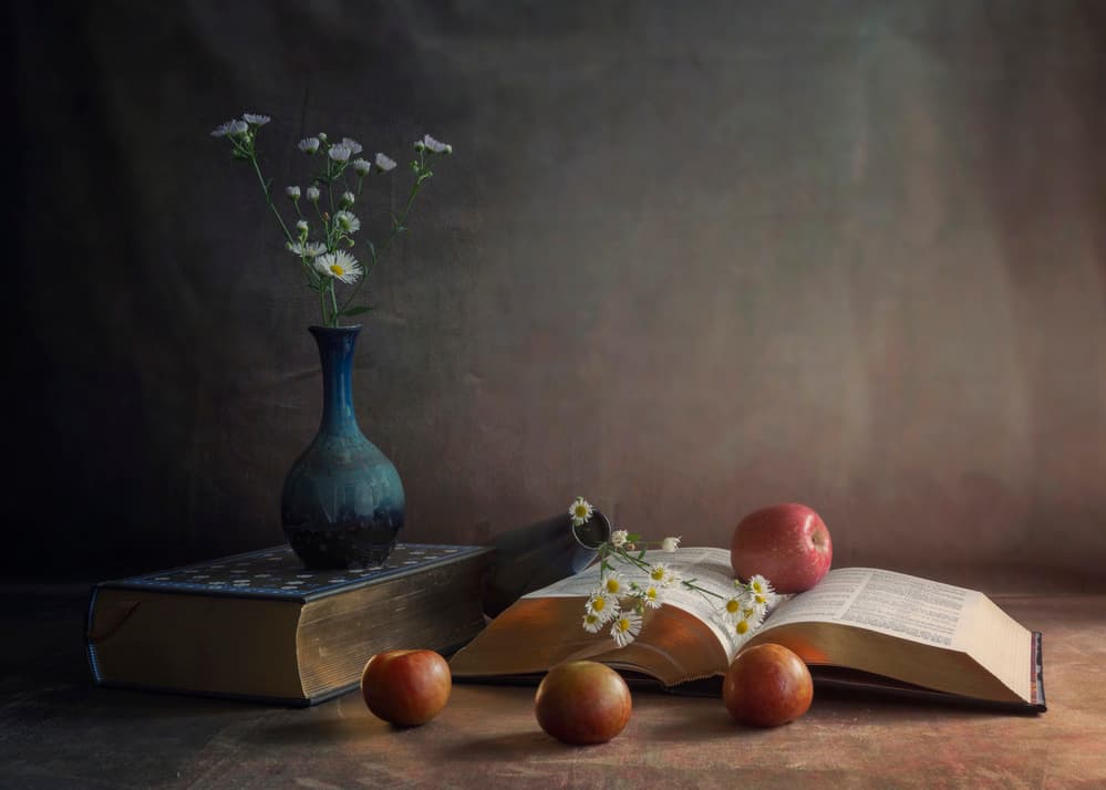 Daisies Books and Apples by Purple Bamboo — canvas wall art