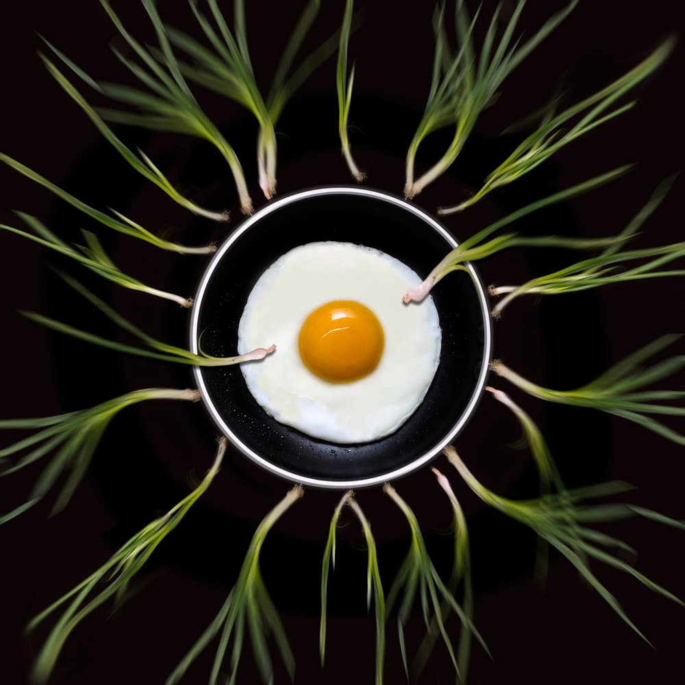 Morning Egg with Greens by Antonyus Bunjamin (Abe) — canvas wall art