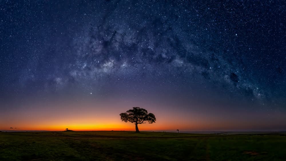 Milky Way Tree Sunset by Hua Zhu — canvas wall art