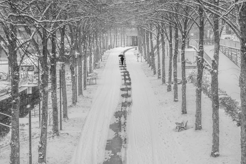 Solitary Winter Walk by Eiji Yamamoto — canvas wall art