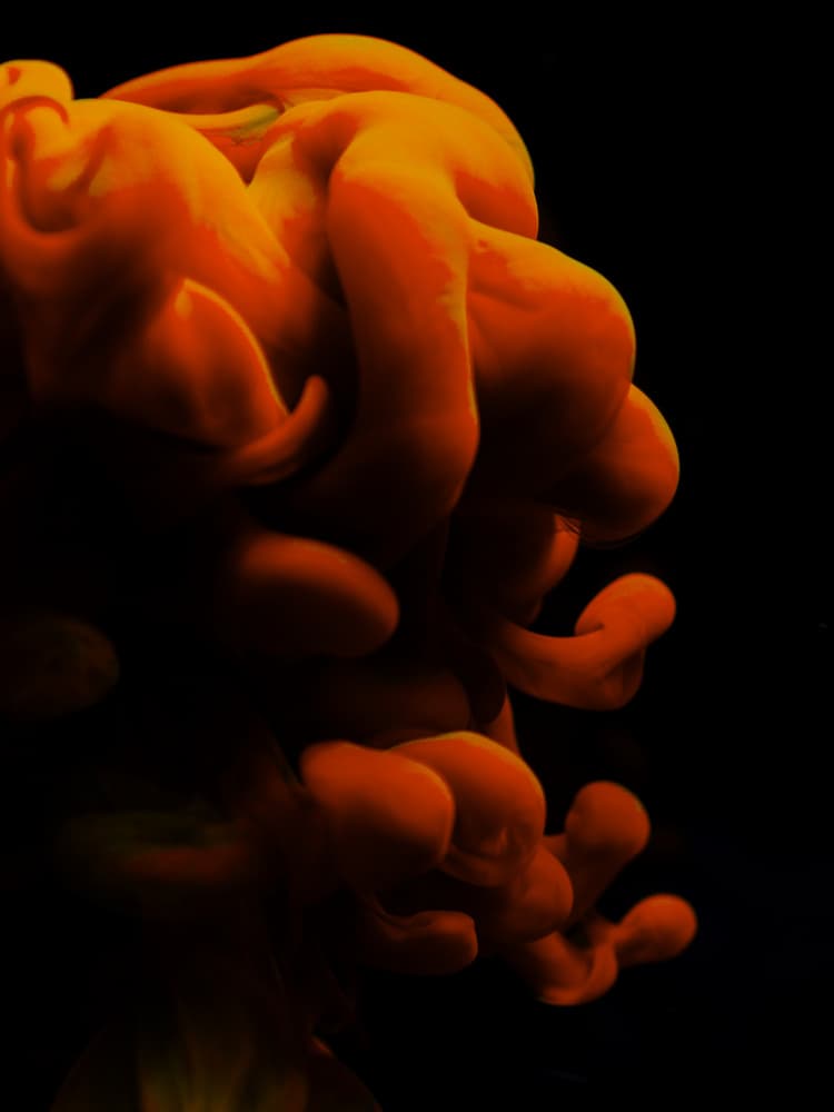 Dynamic Orange Flow by engin akyurt — canvas wall art