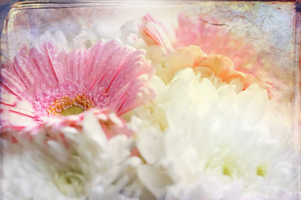 Soft Pink Floral Dream by Rafal Kulik — canvas wall art