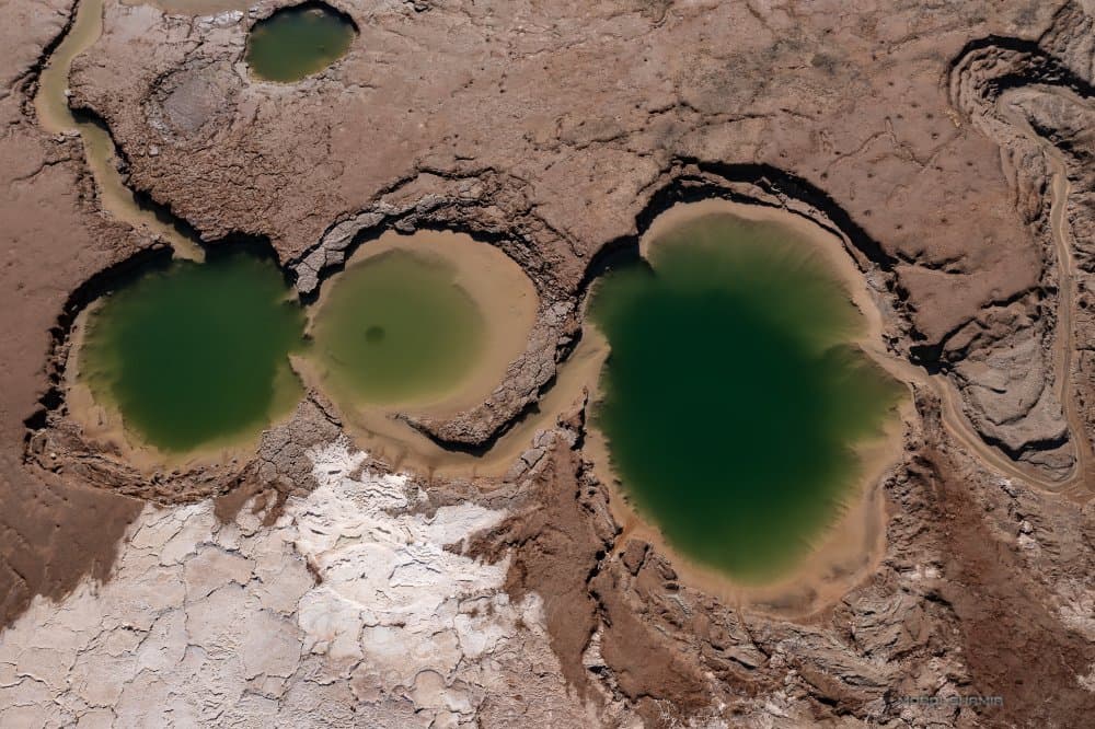 Green Desert Pools by mordi — canvas wall art