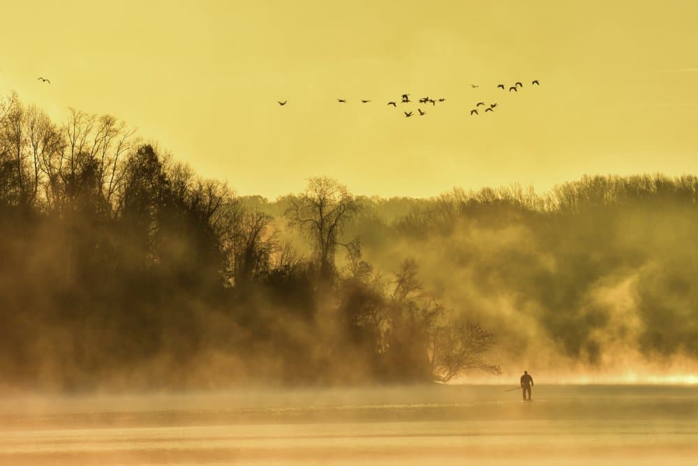 Golden Mist Lone Figure by Eric Zhang — canvas wall art