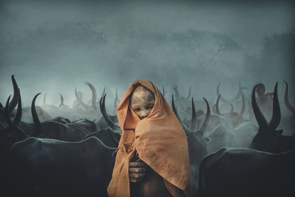 Misty Cattle Child by Svetlin Yosifov — canvas wall art