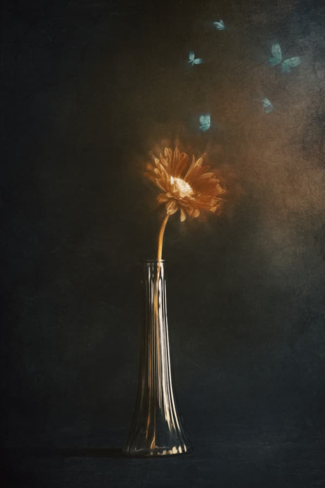 Glowing Flower Butterflies by Cicek Kiral — canvas wall art