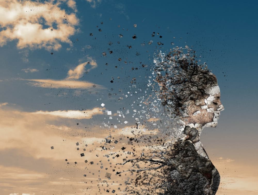Dissolving Woman Profile by Silvia Guillet — canvas wall art