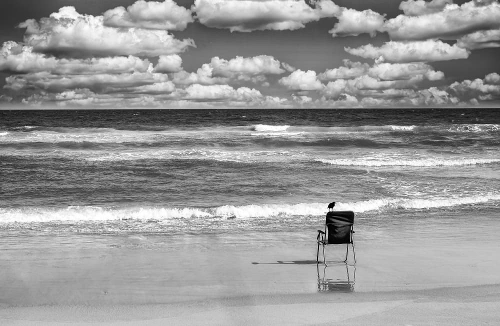 Bird On Solitary Beach Chair by Porter Thomas — canvas wall art