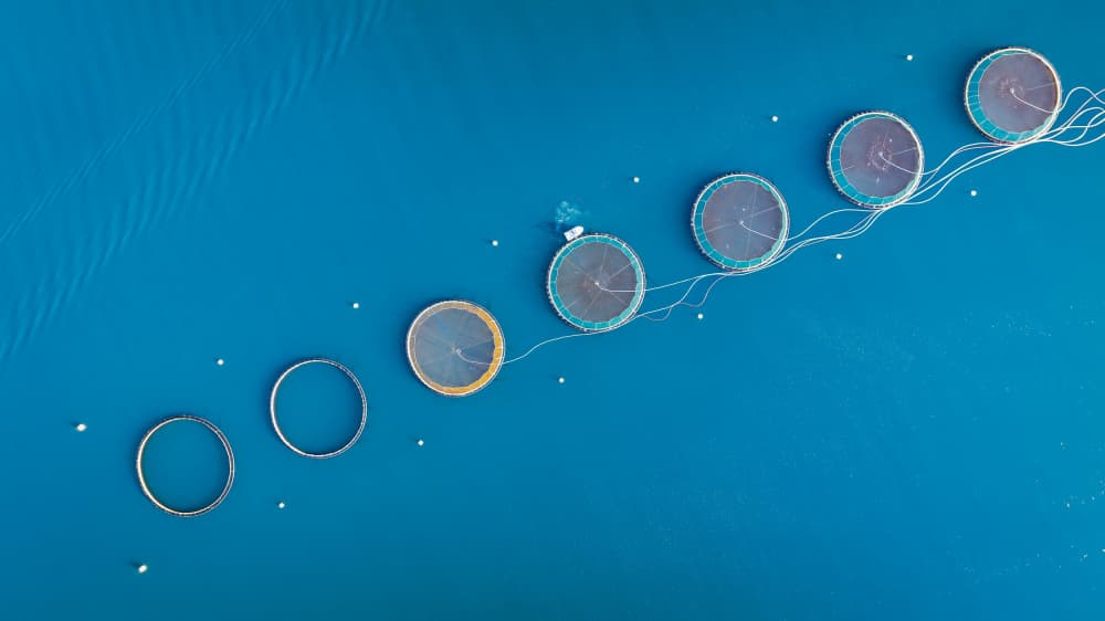 Deep Blue Circles by Wei (David) Dai — canvas wall art